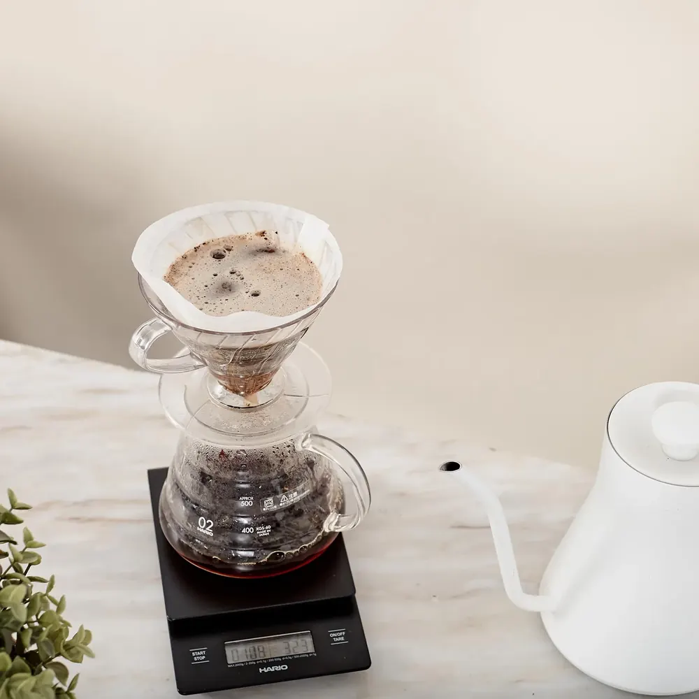 Hario V60 ceramic pour over dripper